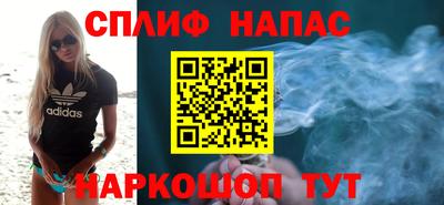 jwh Ставрополь