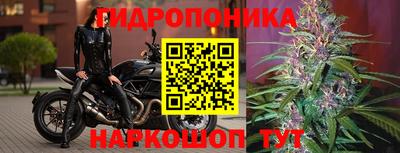 прущая мука Тверь